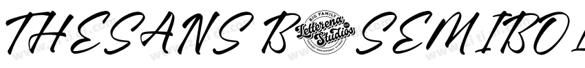 THESANS B6SEMIBOLD字体转换